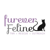 Furever Feline logo, Furever Feline contact details