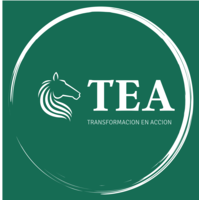 Consultora TEA logo, Consultora TEA contact details