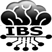 IBS Pakistan logo, IBS Pakistan contact details