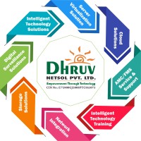 Dhruv NetSol Pvt. Ltd. logo, Dhruv NetSol Pvt. Ltd. contact details