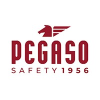 Pegaso Safety logo, Pegaso Safety contact details