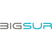 BigSur Partners logo, BigSur Partners contact details