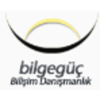 Bilgegüç Bilişim Danışmanlık logo, Bilgegüç Bilişim Danışmanlık contact details