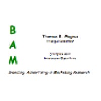 BAM Brand Advertising & Marketing Consultancy logo, BAM Brand Advertising & Marketing Consultancy contact details