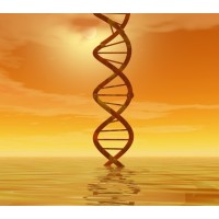 Solana Genomics logo, Solana Genomics contact details