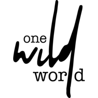 One Wild World Photography logo, One Wild World Photography contact details