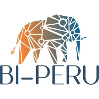 BI-PERU logo, BI-PERU contact details