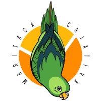 maritaca criativa logo, maritaca criativa contact details