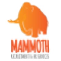 Mammoth Recruitment and HR Services Ltd logo, Mammoth Recruitment and HR Services Ltd contact details