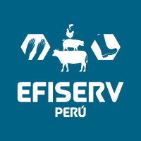 Efiserv Perú logo, Efiserv Perú contact details