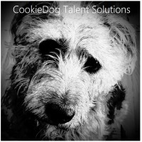 CookieDog Talent Solutions Ltd logo, CookieDog Talent Solutions Ltd contact details