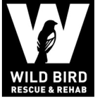 Wild BIRD Rescue and Rehab logo, Wild BIRD Rescue and Rehab contact details