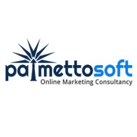 PalmettoSoft LLC logo, PalmettoSoft LLC contact details