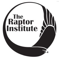 The Raptor Institute logo, The Raptor Institute contact details