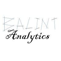 Balint Analytics logo, Balint Analytics contact details