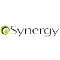 Synergy Tecnologia em Sistemas logo, Synergy Tecnologia em Sistemas contact details