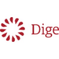 Dige - Mobile and Web Software Development House logo, Dige - Mobile and Web Software Development House contact details