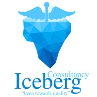 Iceberg Consultancy Services logo, Iceberg Consultancy Services contact details