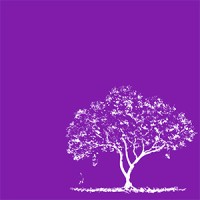 Jacaranda Strategies logo, Jacaranda Strategies contact details