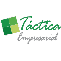 Táctica Empresarial | Consultoría OEA | Operador Económico Autorizado logo, Táctica Empresarial | Consultoría OEA | Operador Económico Autorizado contact details