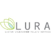 Lura Consulting logo, Lura Consulting contact details