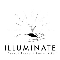 Illuminate Food logo, Illuminate Food contact details