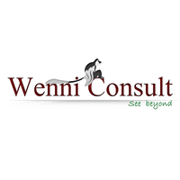 WENNI Consult logo, WENNI Consult contact details