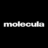 Molecula Agency logo, Molecula Agency contact details