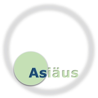 Asiaus Systems logo, Asiaus Systems contact details