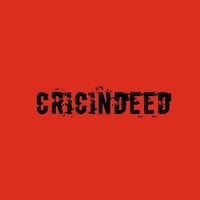 CricIndeed logo, CricIndeed contact details