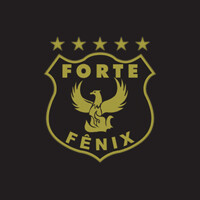 Forte Fênix Segurança Eireli logo, Forte Fênix Segurança Eireli contact details