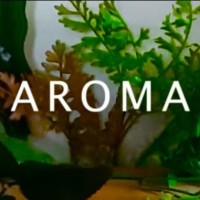 Aroma logo, Aroma contact details