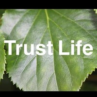 Trust Life logo, Trust Life contact details