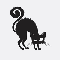 Alma de Gato filmes logo, Alma de Gato filmes contact details