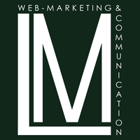 LM Web Agency logo, LM Web Agency contact details