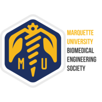 Marquette University Biomedical Engineering Society logo, Marquette University Biomedical Engineering Society contact details