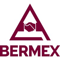 Bermix Inc logo, Bermix Inc contact details