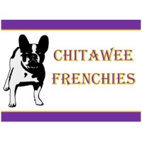 Chitawee Frenchies logo, Chitawee Frenchies contact details