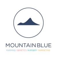 Mountain Blue Marketing logo, Mountain Blue Marketing contact details