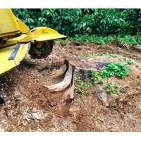 Grinder Stump Removal logo, Grinder Stump Removal contact details