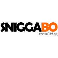 Sniggabo IT Consulting logo, Sniggabo IT Consulting contact details