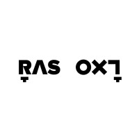 RAS Information Technology Company logo, RAS Information Technology Company contact details