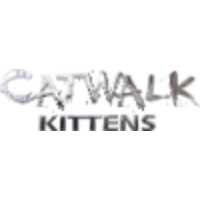 Catwalk Kittens logo, Catwalk Kittens contact details