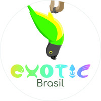 Exotic Brasil logo, Exotic Brasil contact details