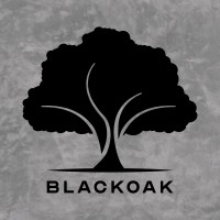 BlackOak Consulting Sdn Bhd logo, BlackOak Consulting Sdn Bhd contact details