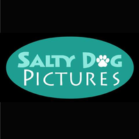 Salty Dog Pictures logo, Salty Dog Pictures contact details