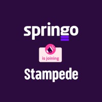 Springo Limited logo, Springo Limited contact details