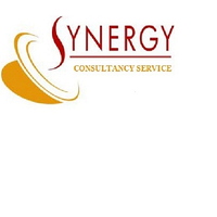 Synergy Consultancy Service logo, Synergy Consultancy Service contact details