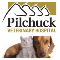 Pilchuck Veterinary Hospital logo, Pilchuck Veterinary Hospital contact details