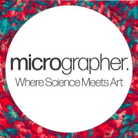 Micrographer logo, Micrographer contact details